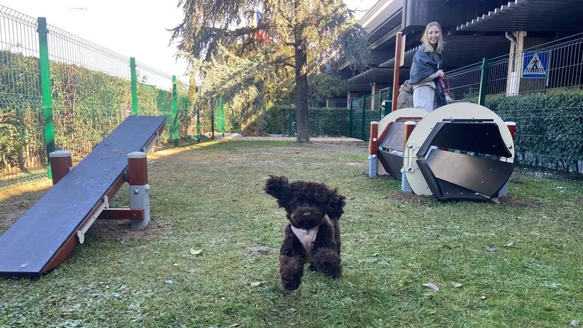 Nuevo espacio destinado a mascotas que se encuentra ubicado en Llegadas de la Terminal T1. Foto: Aena