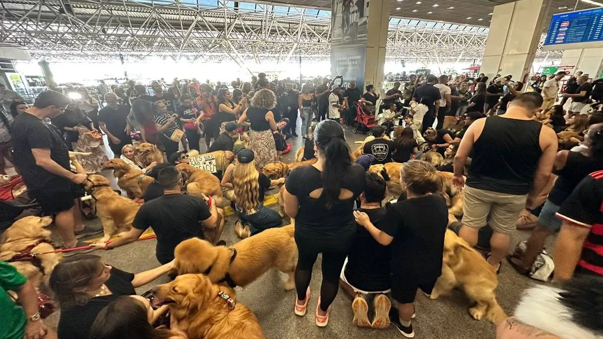 Imagen de la protesta Brasilia por la muerte de Joca, el Golden Retriever de 4 aos fallecido tras ser embarcado en un avin de Gol Linhas Areas.