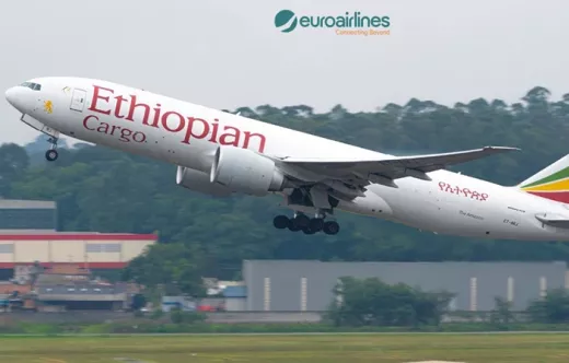 Avin de Ethiopian Airlines. Foto: Euroairlines.