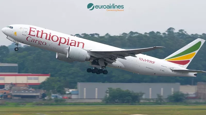 Avin de Ethiopian Airlines. Foto: Euroairlines.